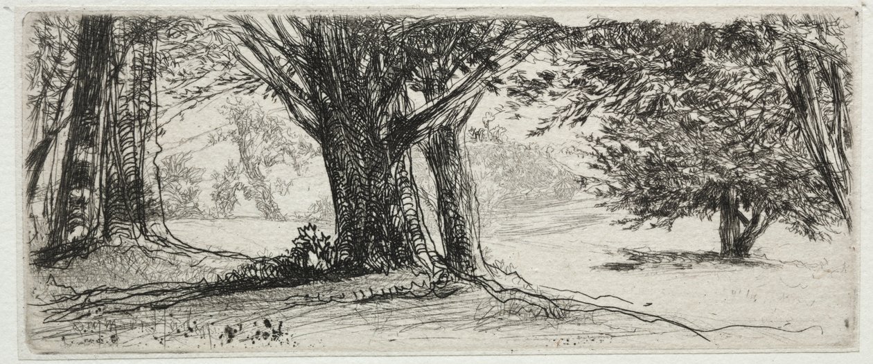 Holly Field af Francis Seymour Haden