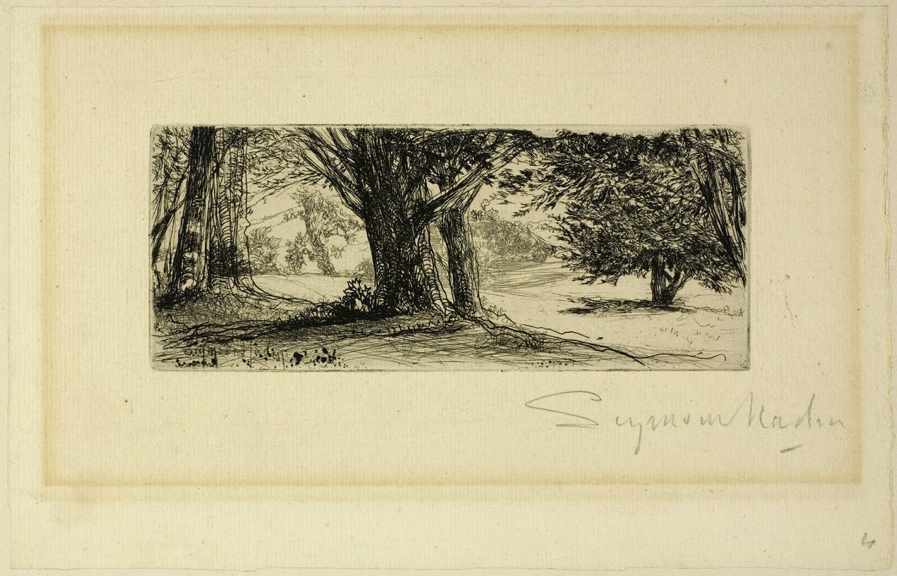 Holly Fields af Francis Seymour Haden