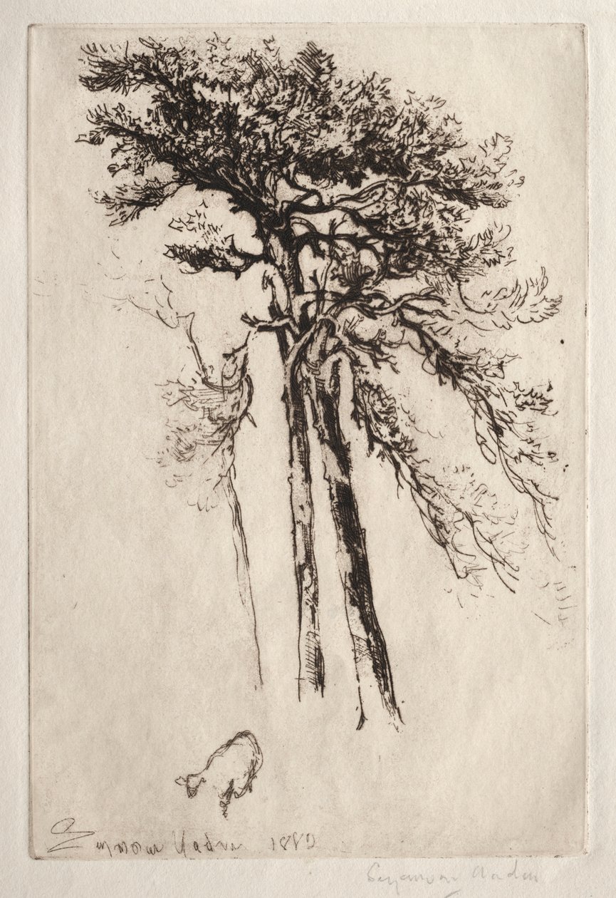 Det seneste træ af Francis Seymour Haden