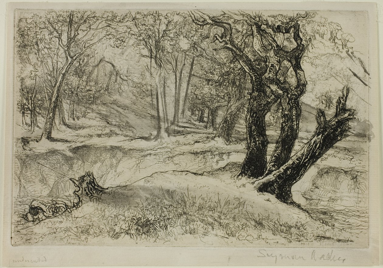 De tre søstre af Francis Seymour Haden