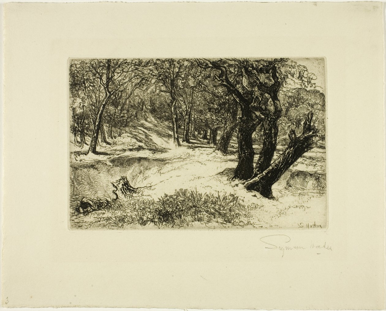 De tre søstre af Francis Seymour Haden