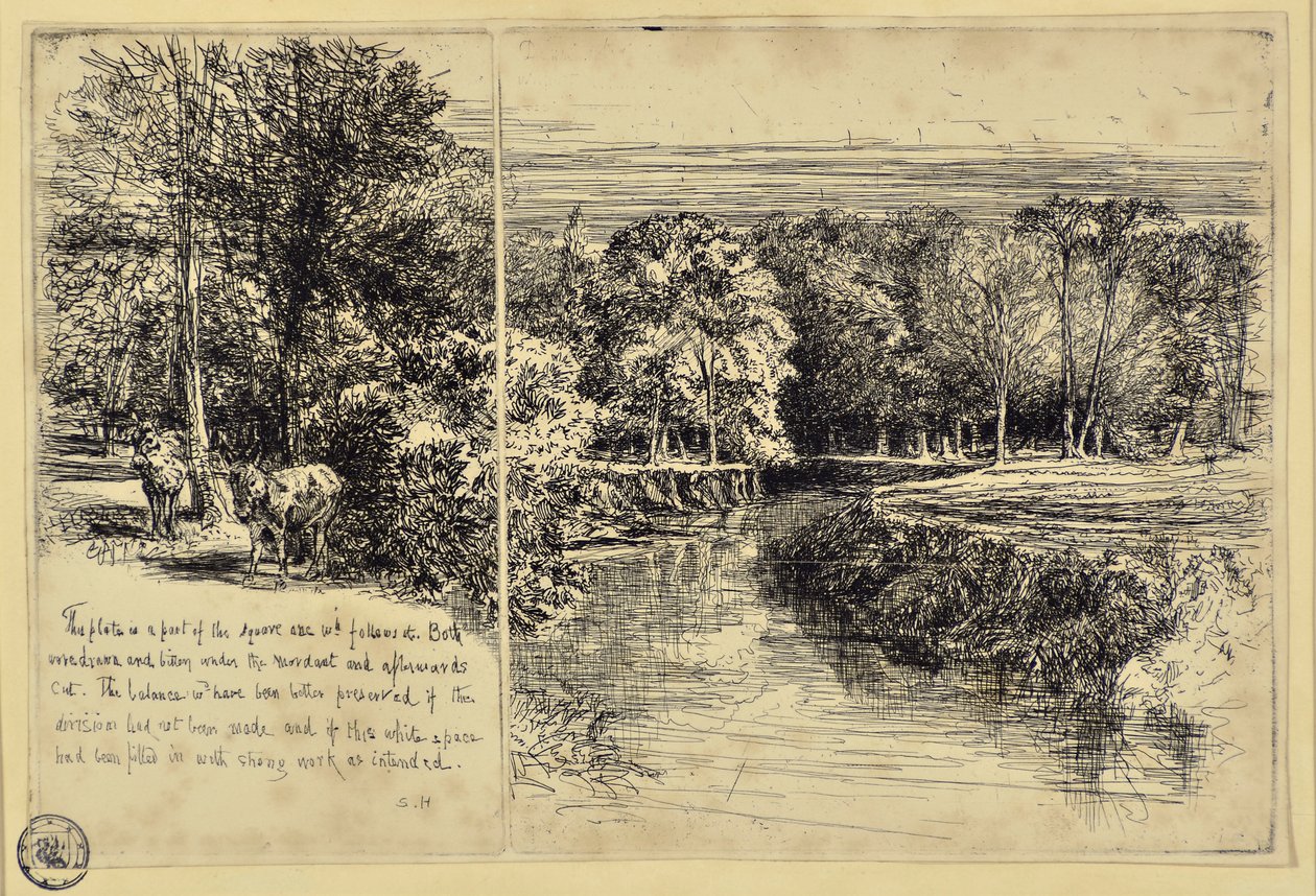 The Two Asses og Dundrum River af Francis Seymour Haden