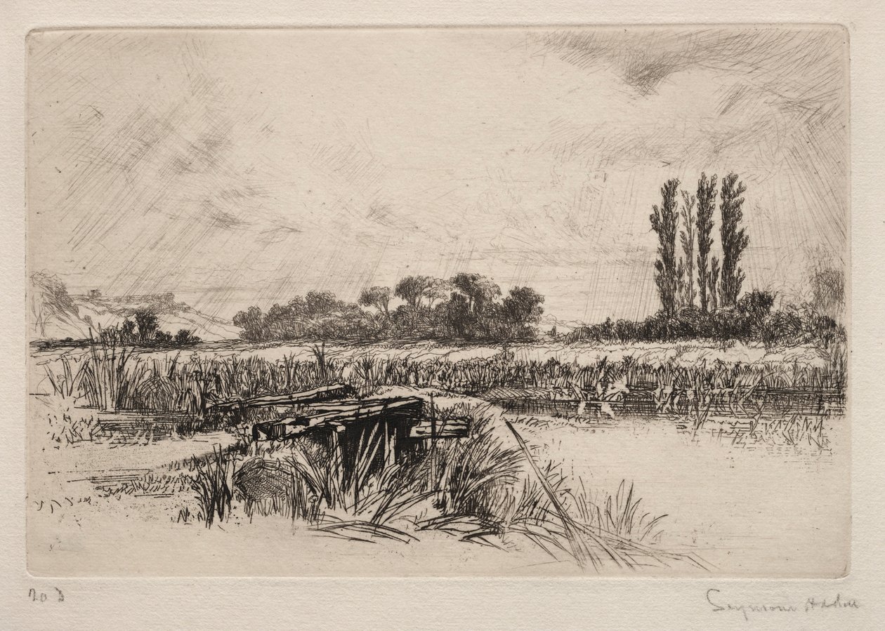 Vandeng, 1859. af Francis Seymour Haden