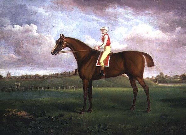 Jockey op af Francis Towne