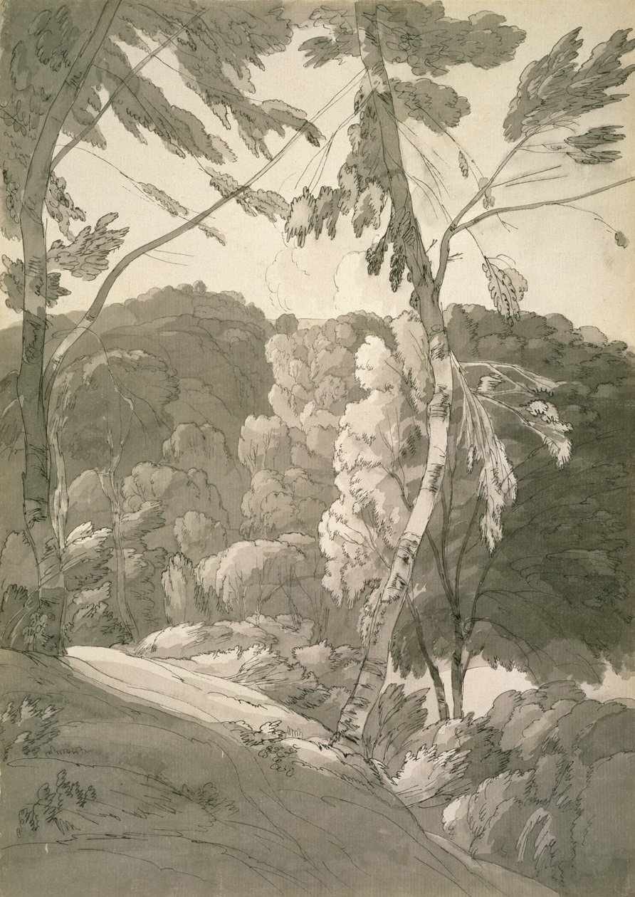 No.1091 A Wooded Landscape (A Scene at Indinowle) 1783 (blyant, pen & blæk med vask på papir) af Francis Towne