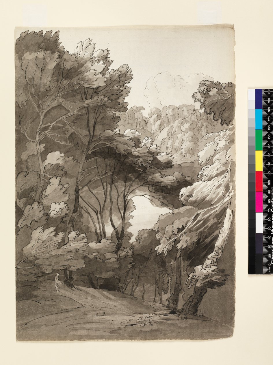 No.1093 A Wooded Landscape, 1788 (blæk & vask på papir) af Francis Towne