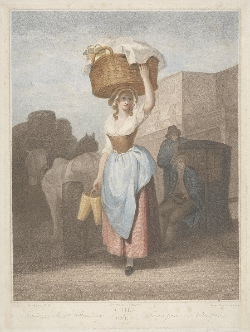 Jordbær, søde jordbær, graveret af Giovanni Vendramini (1769-1839) 1795 af Francis after Wheatley