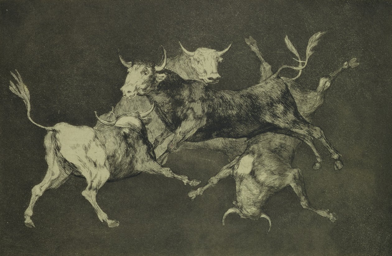Folly of the Bulls, fra Follies-serien, ca. 1815-24 (ætsning og akvatint på japansk papir) af Francisco de Goya