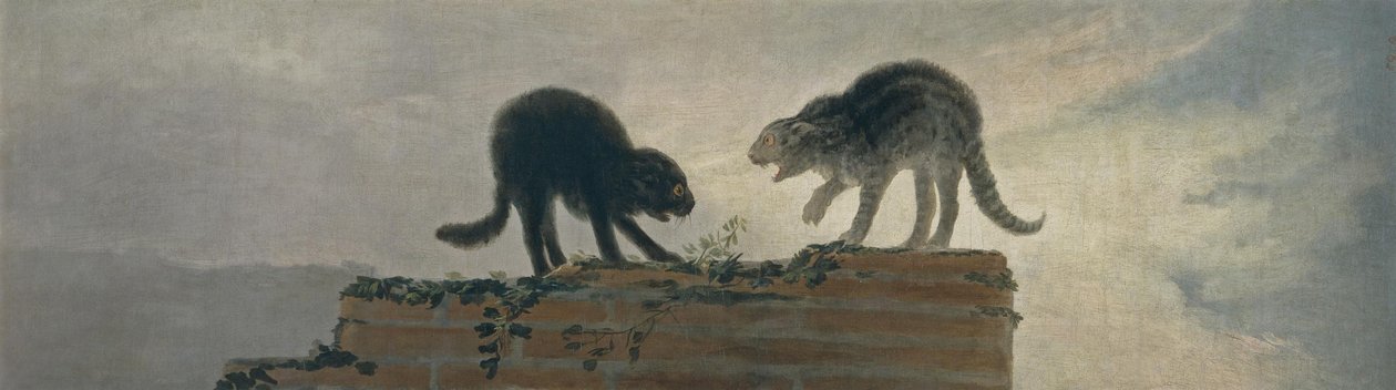 Kattekamp af Francisco de Goya