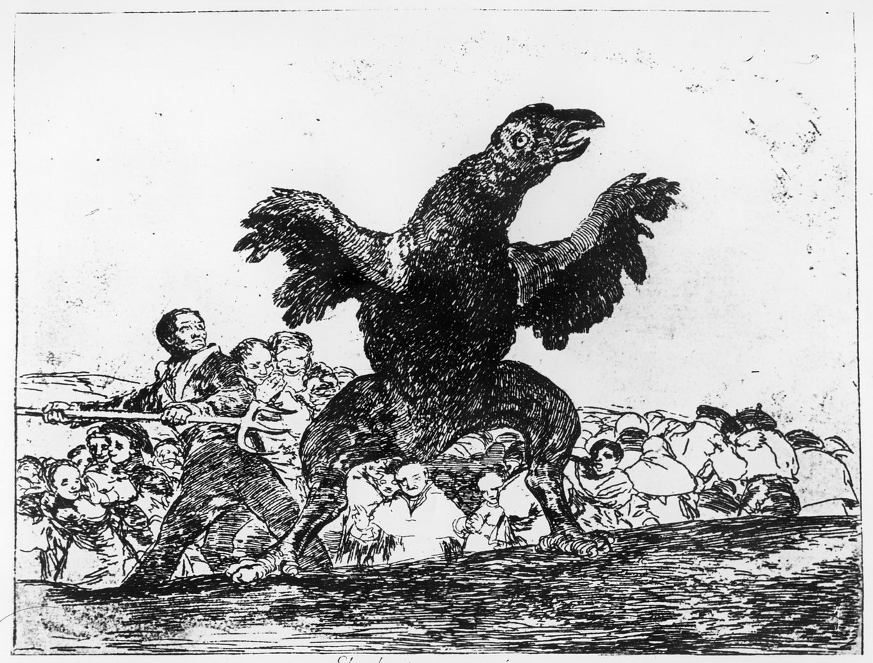 The Carnivorous Vulture, plade 76 fra 