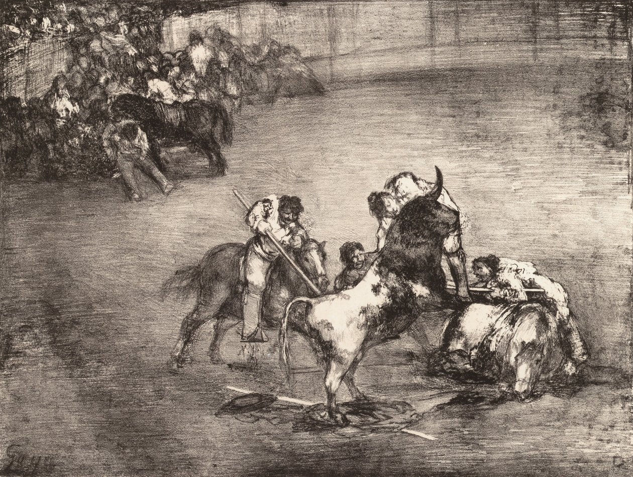 En picador fanget af en tyr, fra 