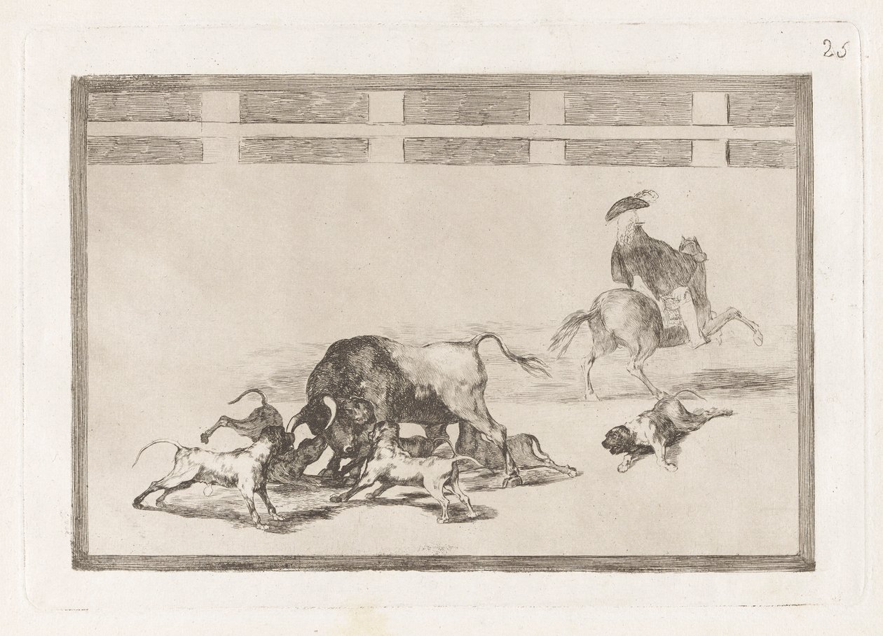 Echan perros al toro (De løse hunde på tyren), plade 25 fra La tauromaquia af Francisco de Goya