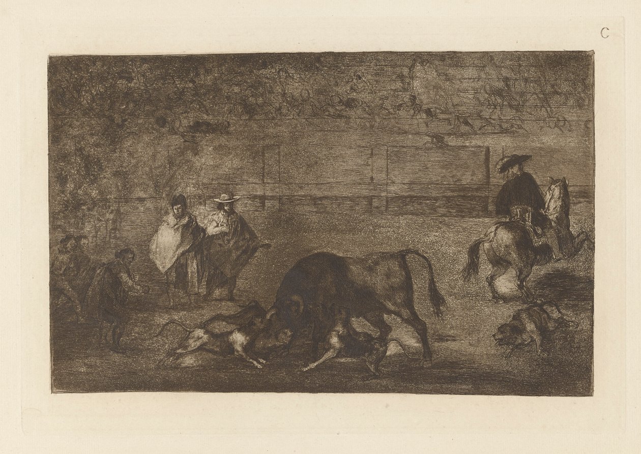 Hundene slipper løs på tyren, plade C fra La tauromaquia (tredje udgave) af Francisco de Goya