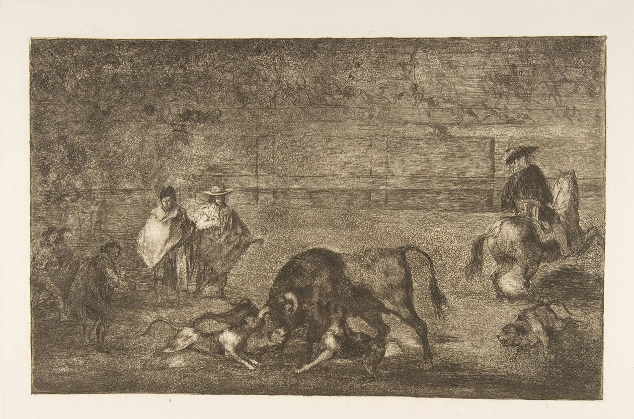 Tavle C: Hundene slipper løs på tyren., ca. 1816. af Francisco de Goya