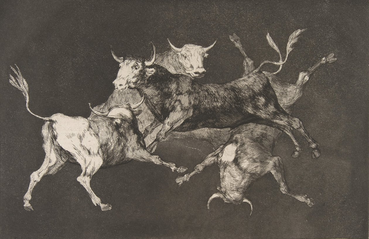 Plade D fra Disparates: Fools-or Little Bulls - fo..., ca. 1816-23 udgivet før 1877. af Francisco de Goya