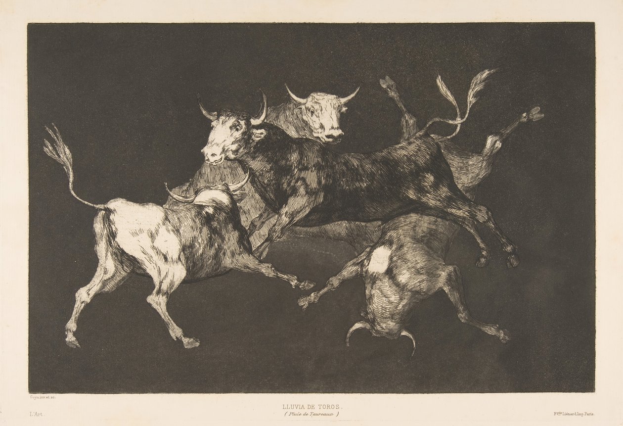 Plade D fra Disparates: Fools-or Little Bulls - dårskab, ca. 1816-23 udgivet 1877. af Francisco de Goya