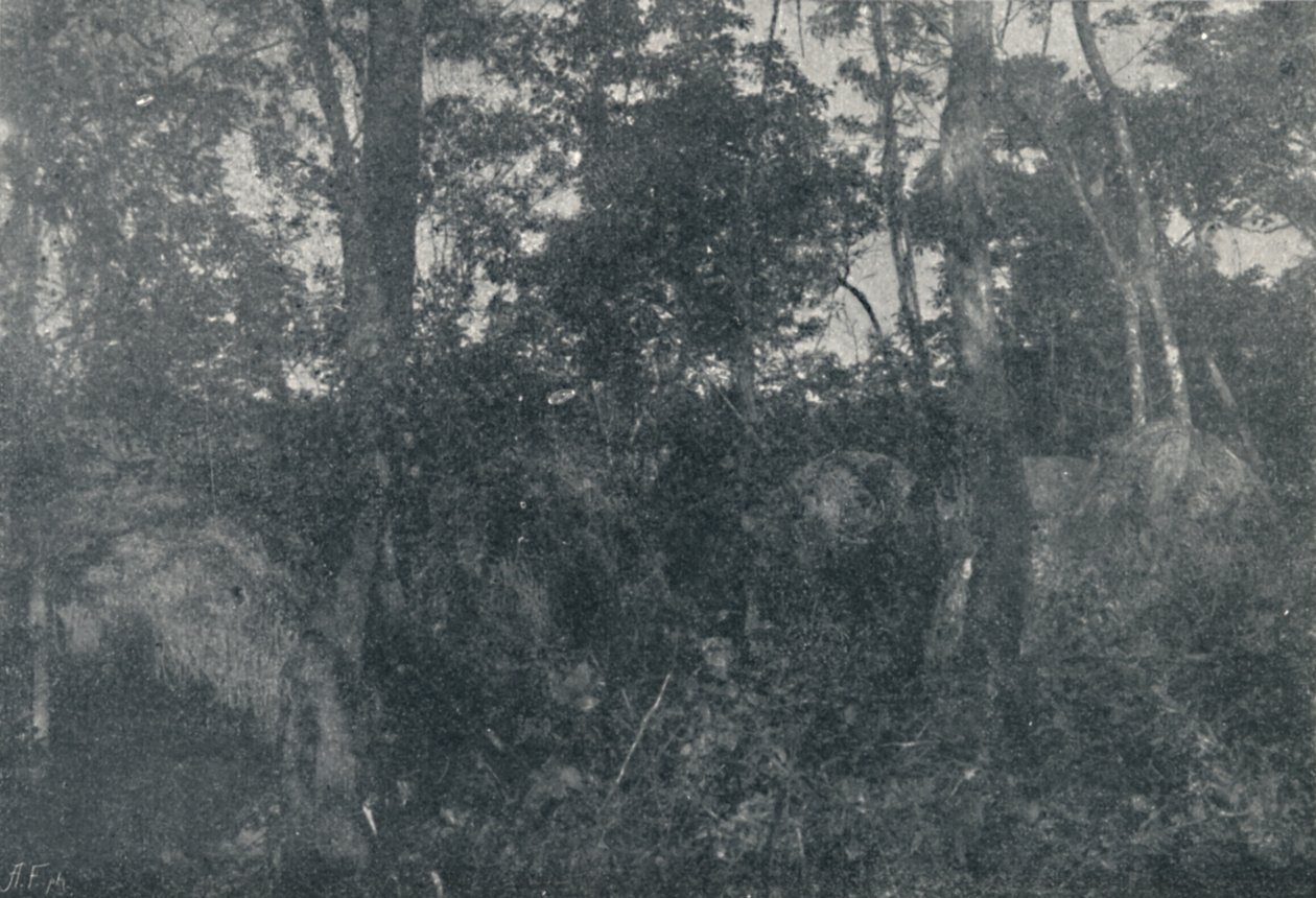 Indian Cabins, 1895 af Francisco Henszler