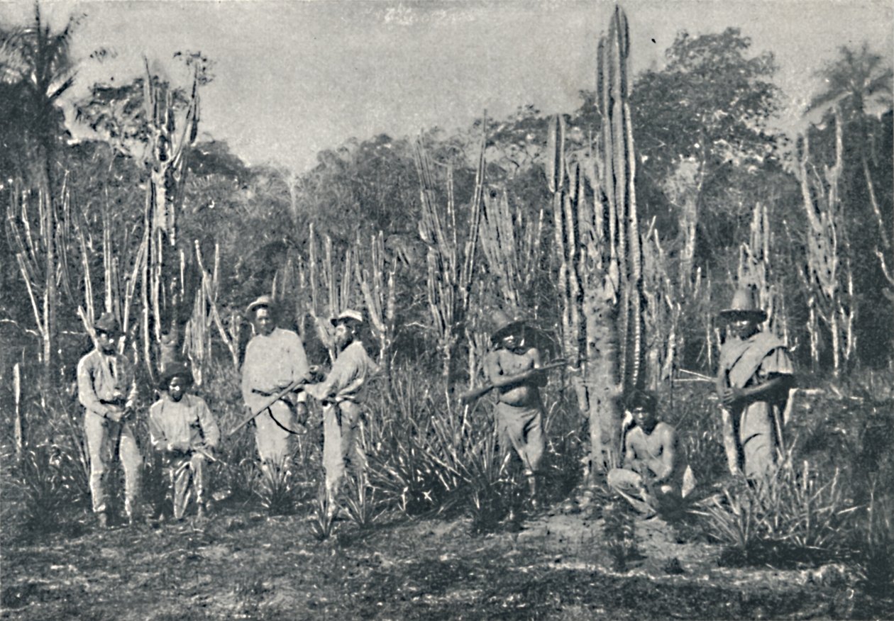 Fields, 1895 af Francisco Henszler