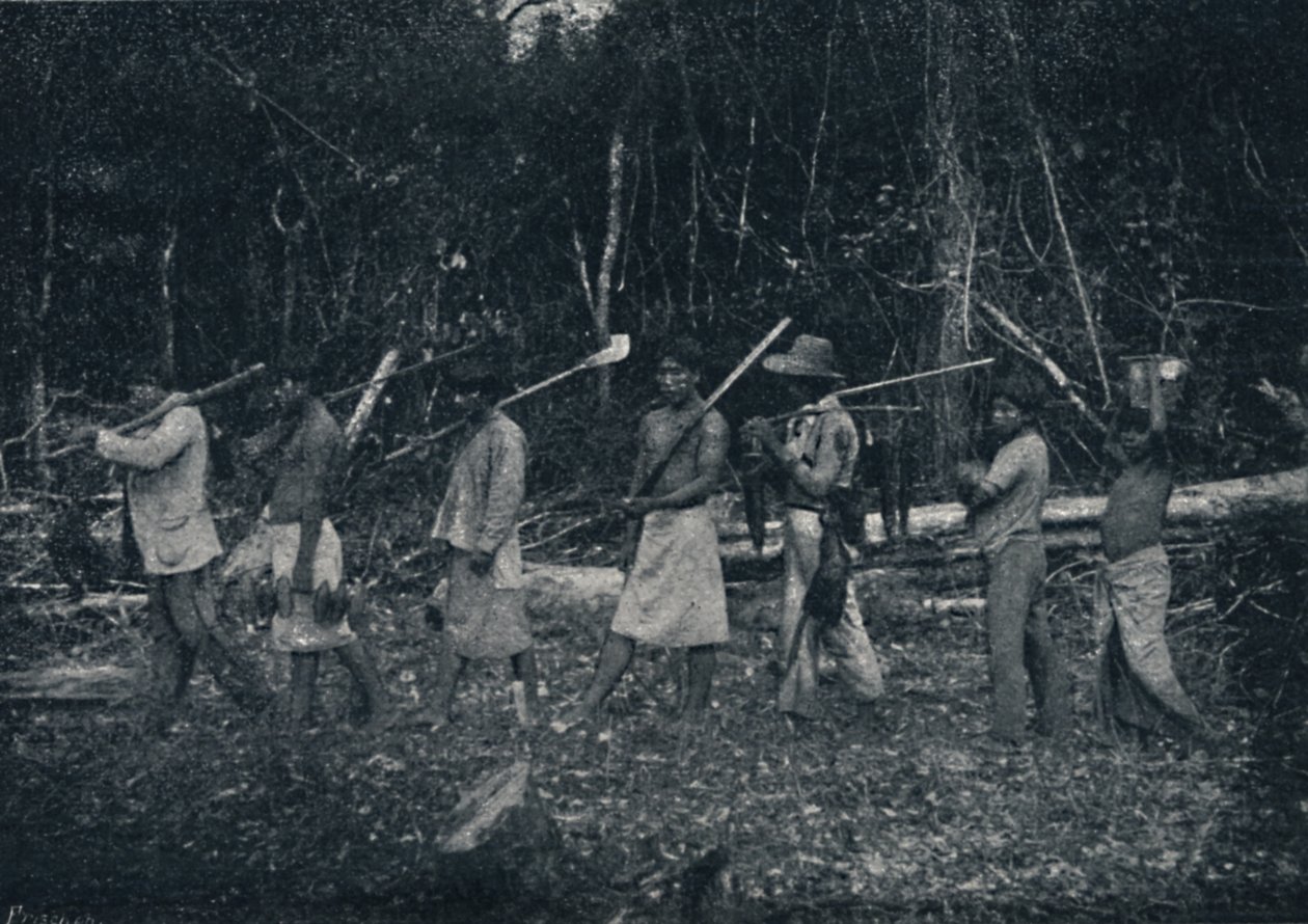Guarany-indianere, vender tilbage fra en Caþada, 1895 af Francisco Henszler