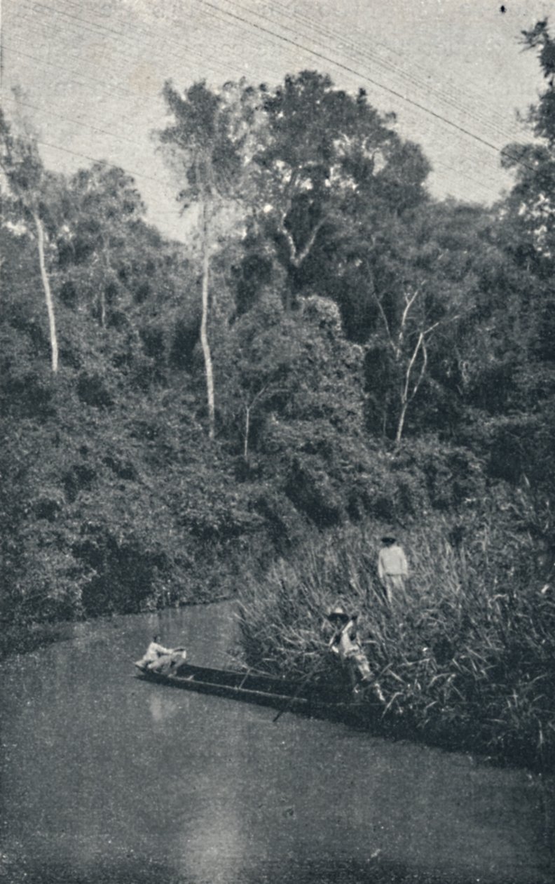 S. Anastacio-floden, 1895 af Francisco Henszler