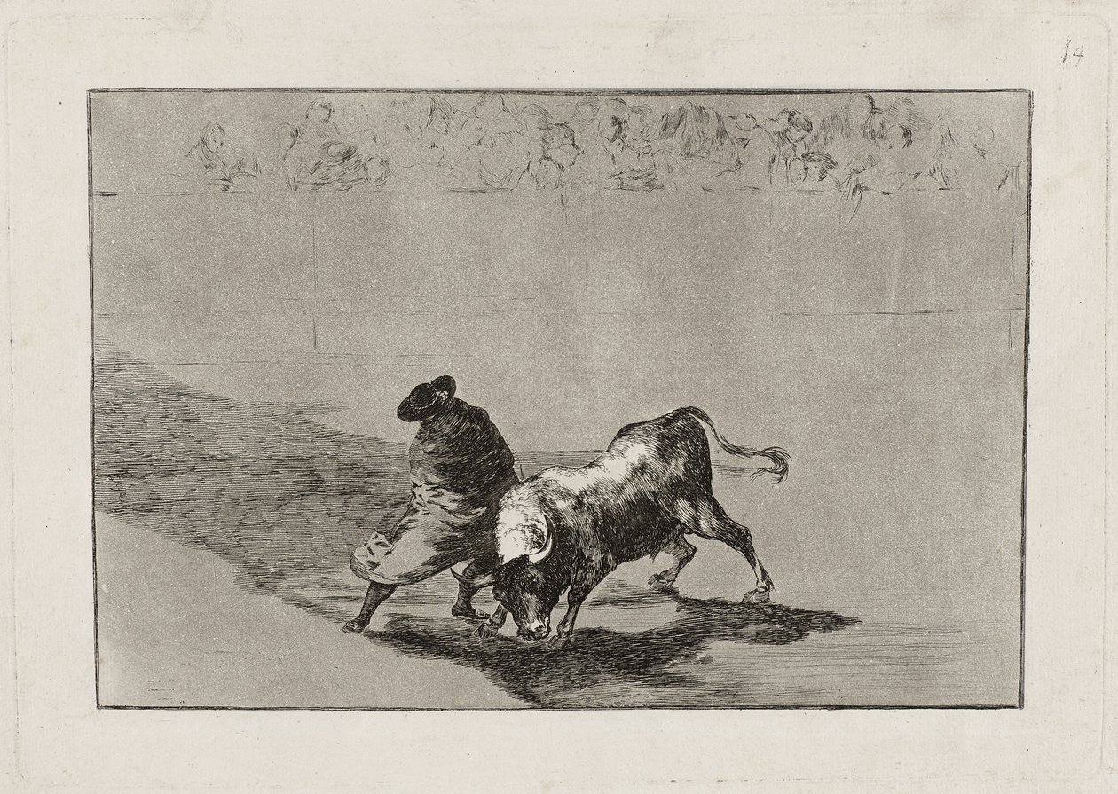 Den kloge 