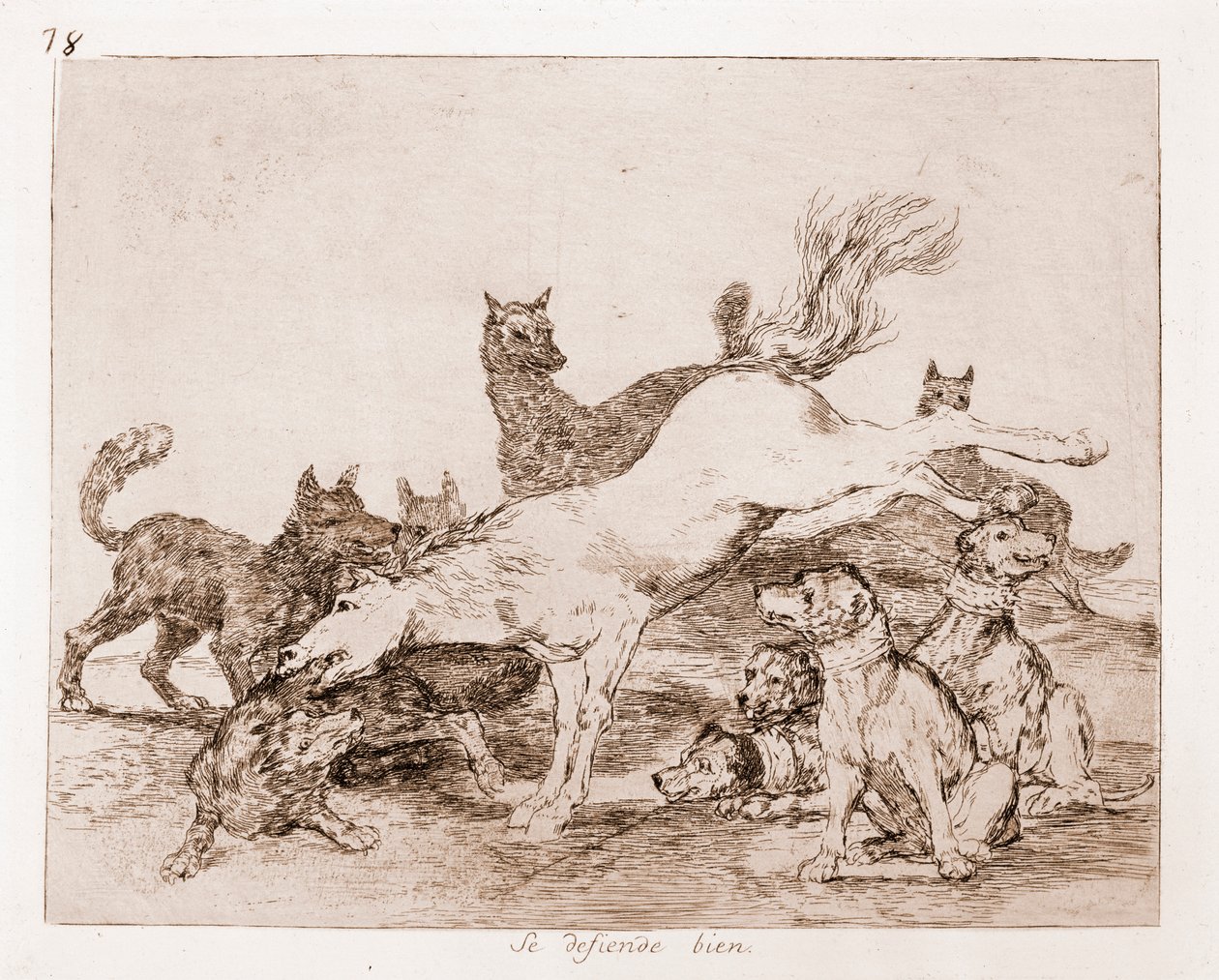 The Disasters of War: Han forsvarer godt (ætsning fra forberedende tegning af Francisco de Goya