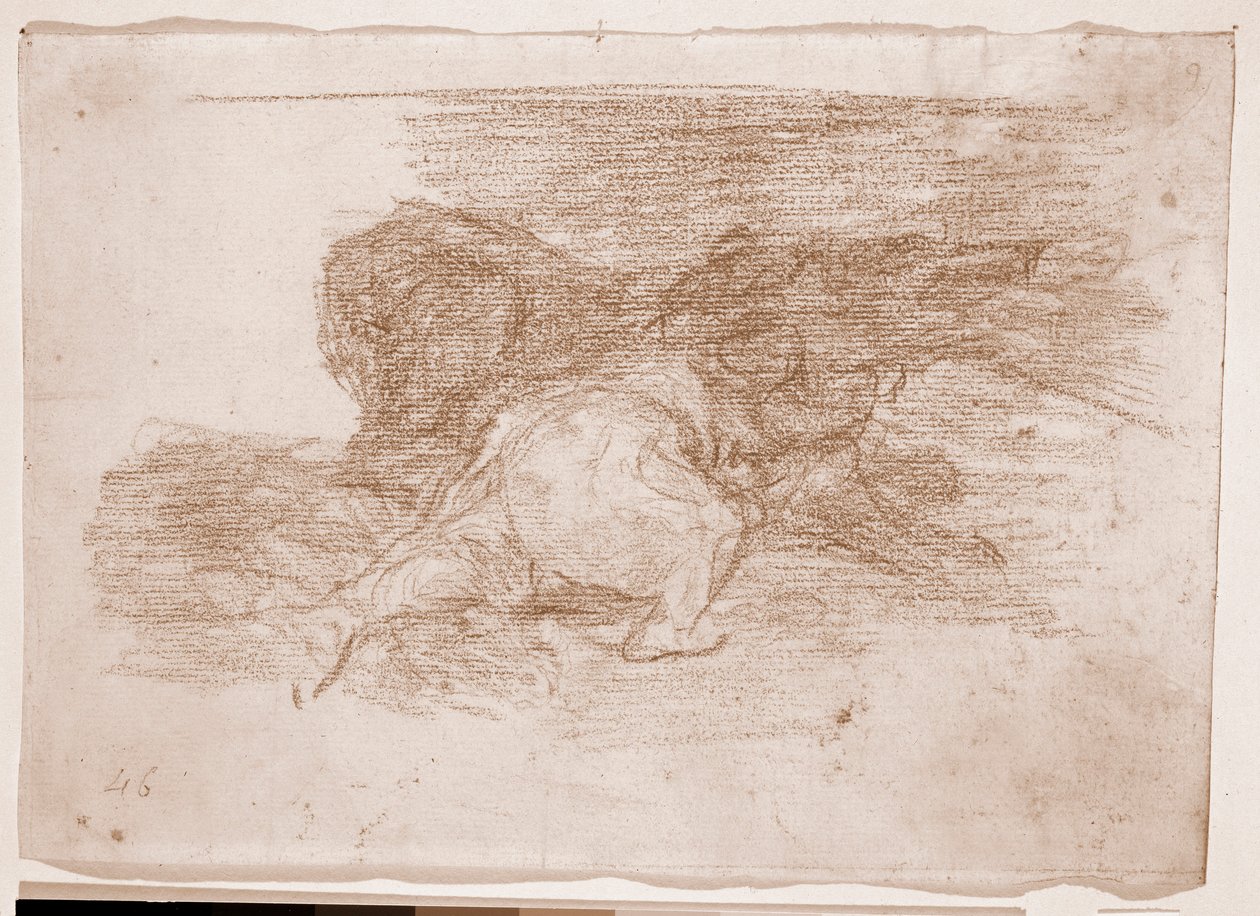 The Disasters of War: Han høster nogle fordele (forberedende tegning af Francisco de Goya