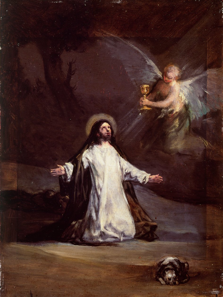 Ukendt billede af Francisco de Goya