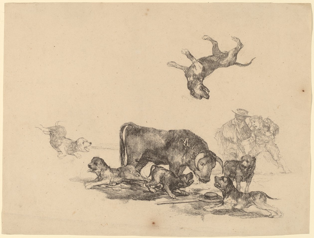 Tyr angrebet af hunde af Francisco de Goya