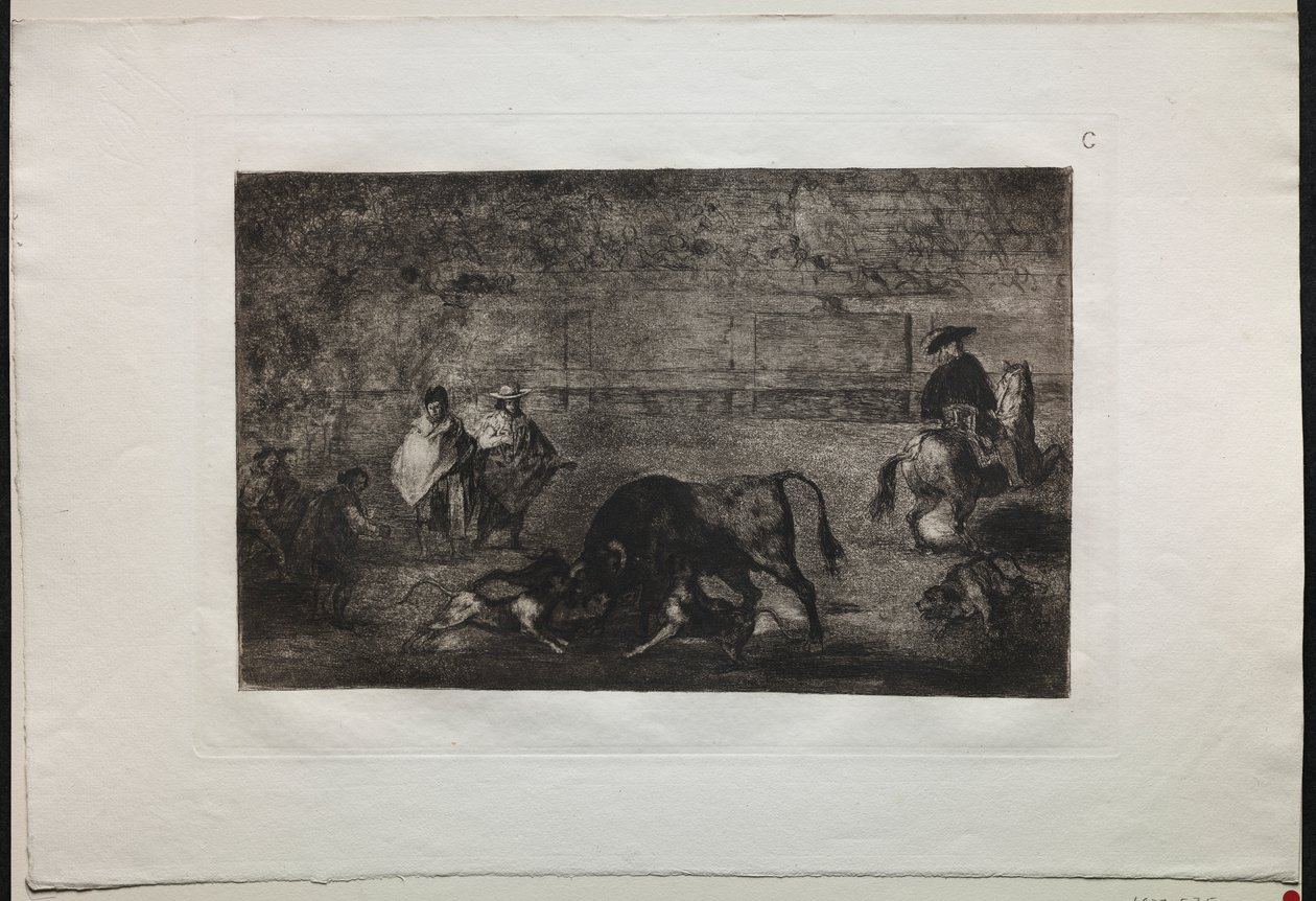 Tyrefægtning: Hunden sluppet løs på tyren af Francisco de Goya