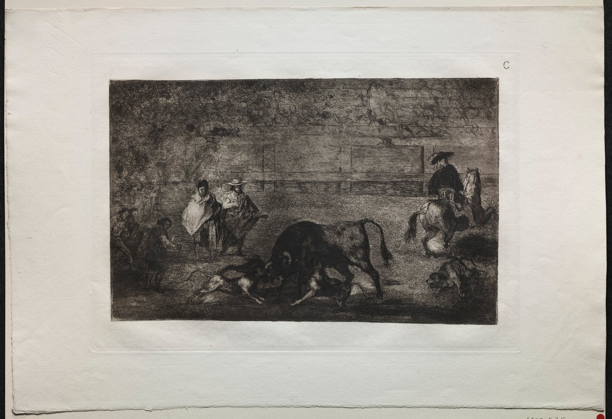 Tyrefights: The Dog Losse on the Bull, 1876. af Francisco de Goya