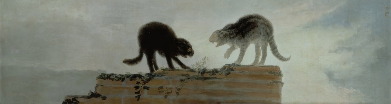 Katte kæmper af Francisco de Goya