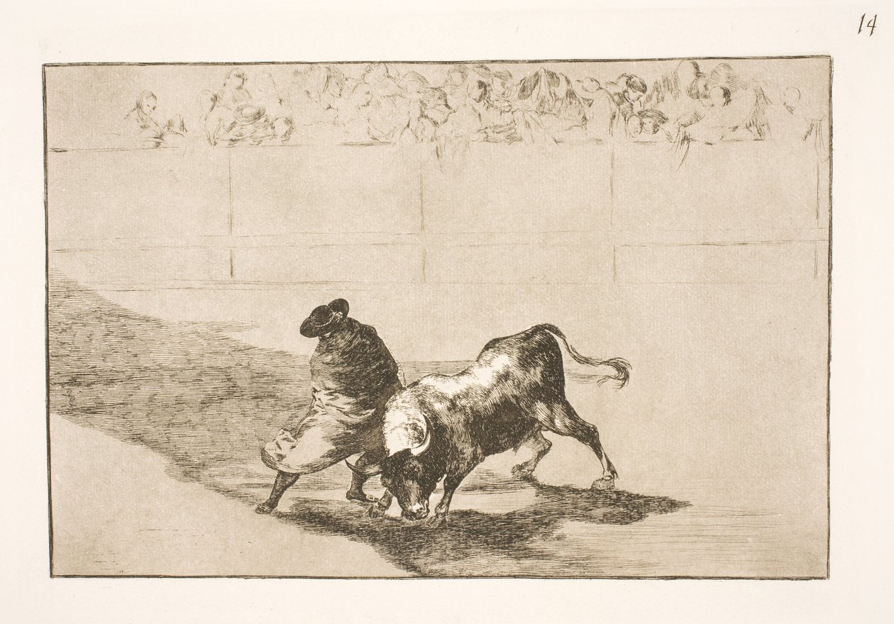 Den meget talentfulde elev fra Falces, hyldet i sin kappe, narrer tyren med sin krops bevægelser af Francisco de Goya