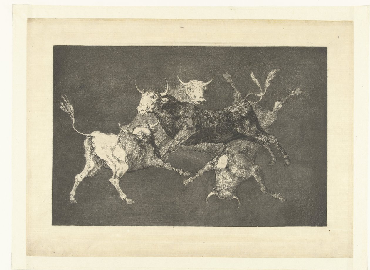 De små tyres tåbelighed Uensartede tontos Los Disparates (The follies) (serietitel) Los Proverbios (Ordsprogene) (serietitel) af Francisco de Goya
