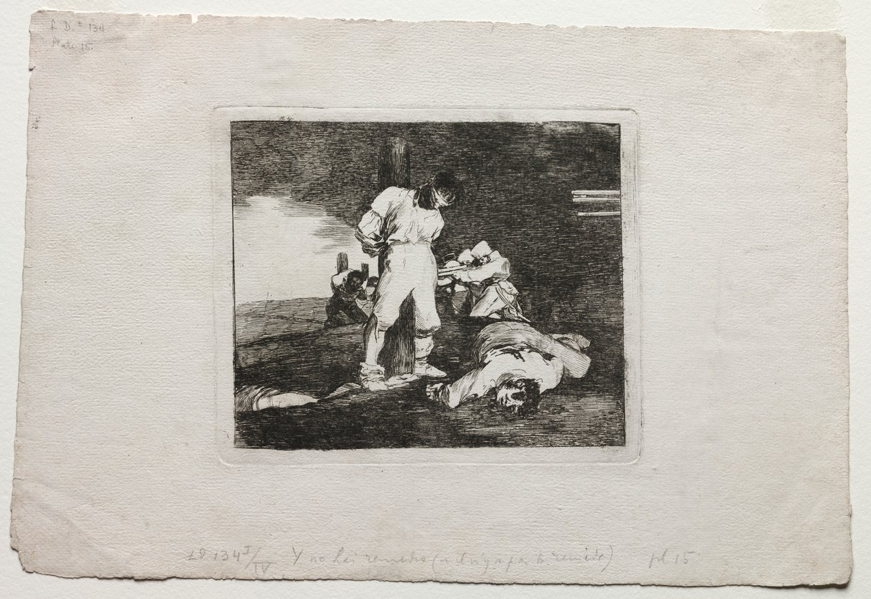 Krigens katastrofer: Og der er ingen hjælp til det af Francisco de Goya