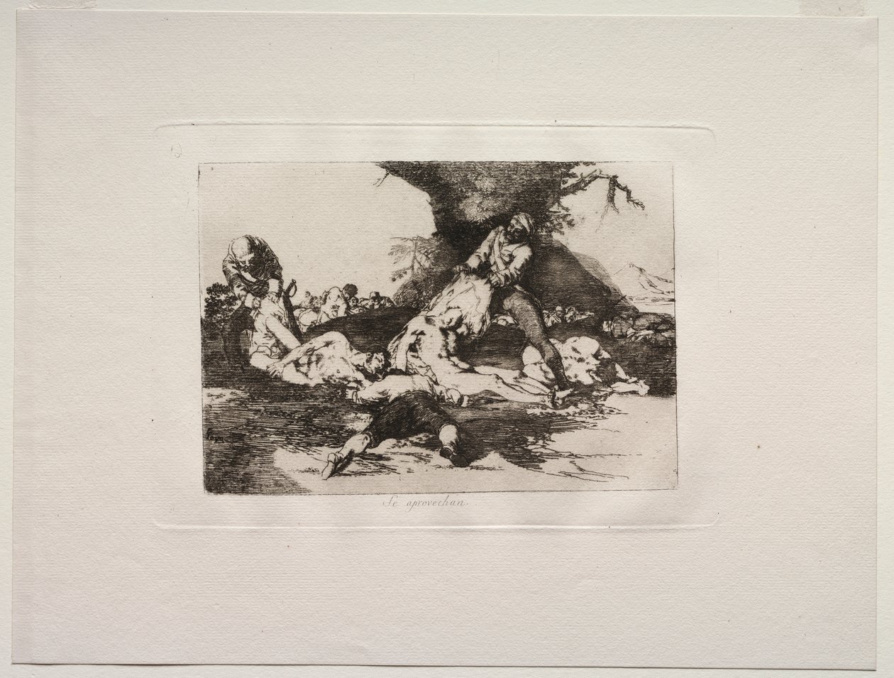Krigens rædsler: De gør brug af dem af Francisco de Goya