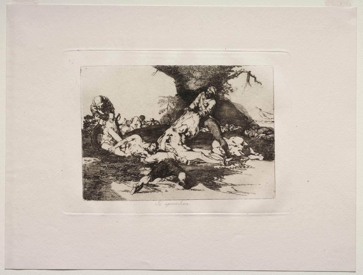 Krigens rædsler: De gør brug af dem. af Francisco de Goya