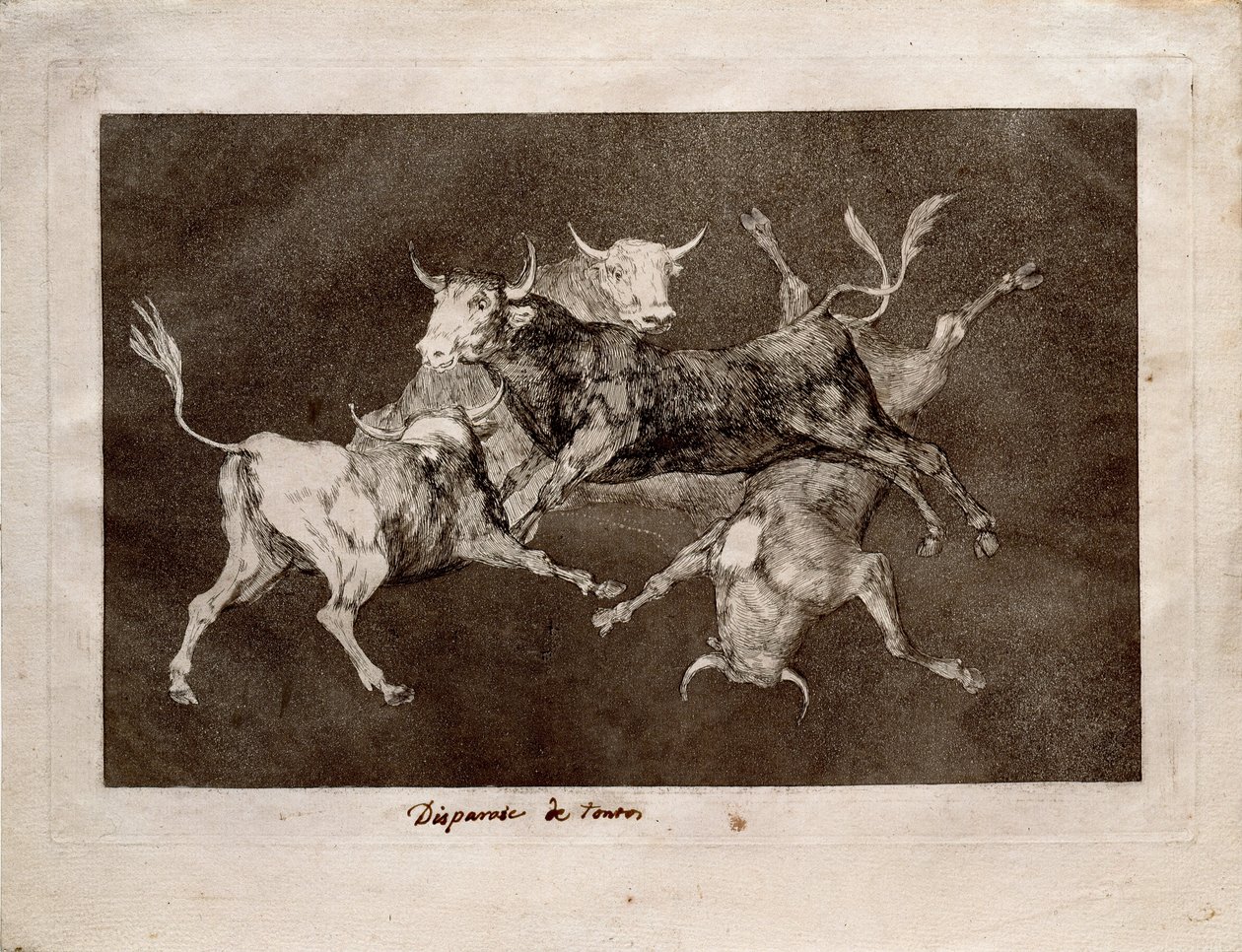 Narre dårskab af Francisco de Goya
