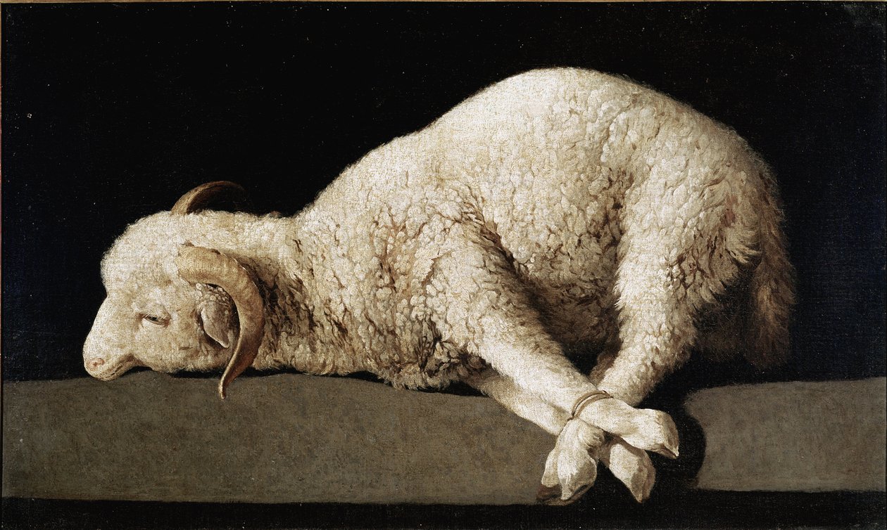 Agnus Dei af Francisco de Zurbaran