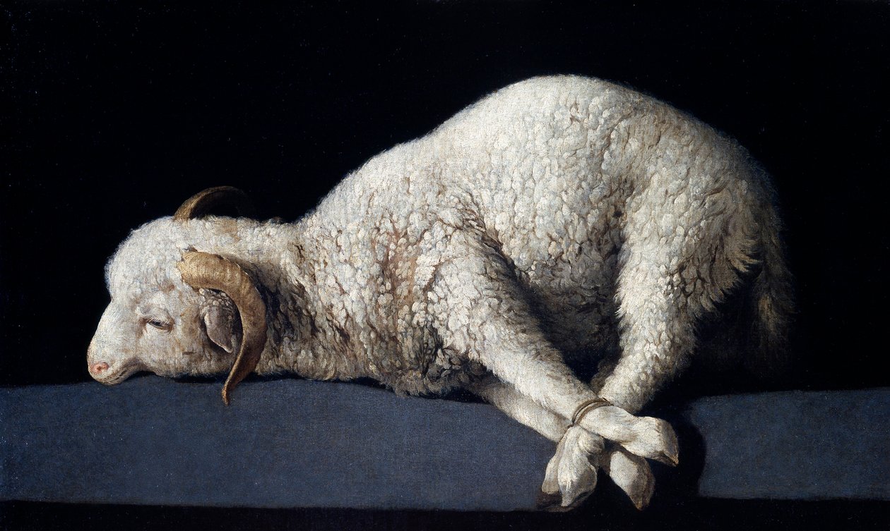 Agnus Dei af Francisco de Zurbaran