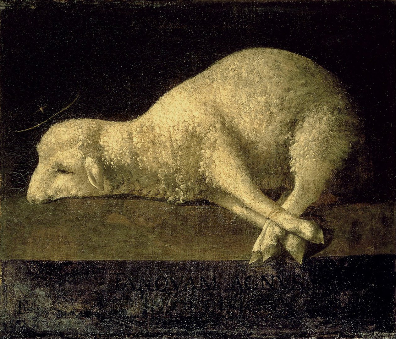 Agnus Dei af Francisco de Zurbaran