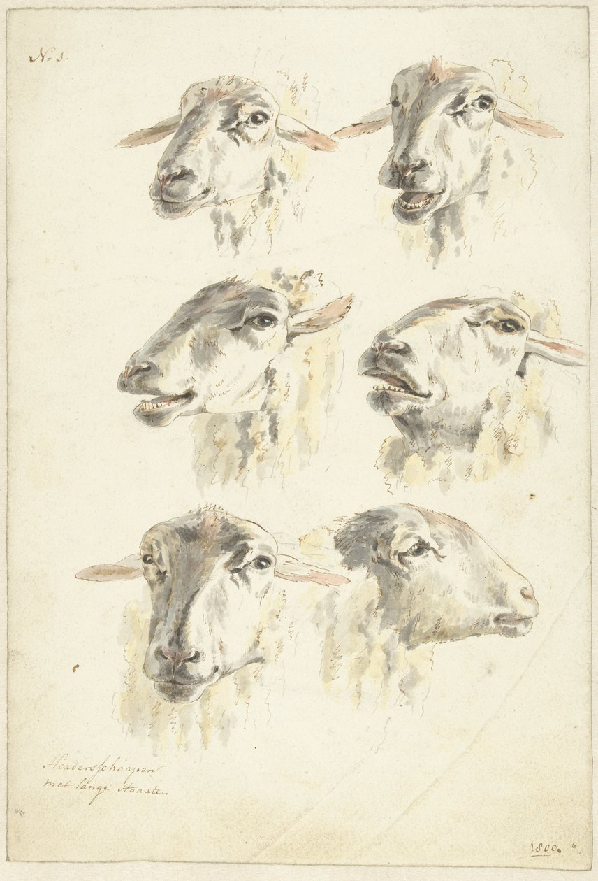 Studieark med seks fårehoveder af Franciscus Andreas Milatz (attributed to)