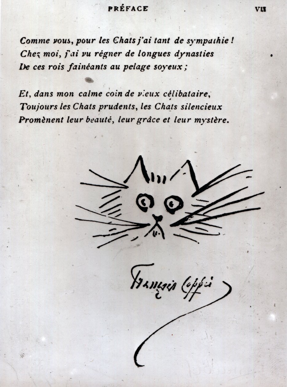 Kattehoved, illustration til et digt af Francois Coppee (pen og blæk på papir) af Francois Coppee
