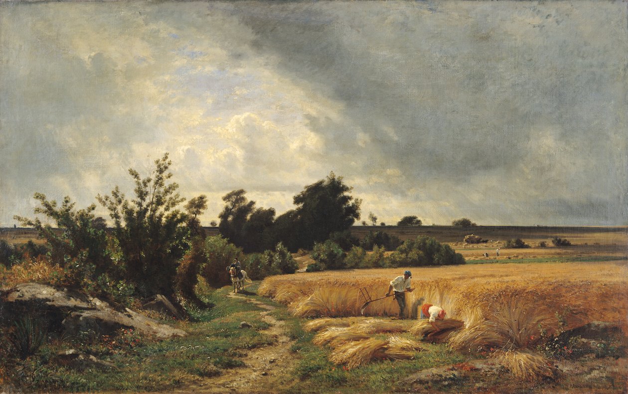 Ormessons plateau - en vej gennem kornet af Francois Louis Francais