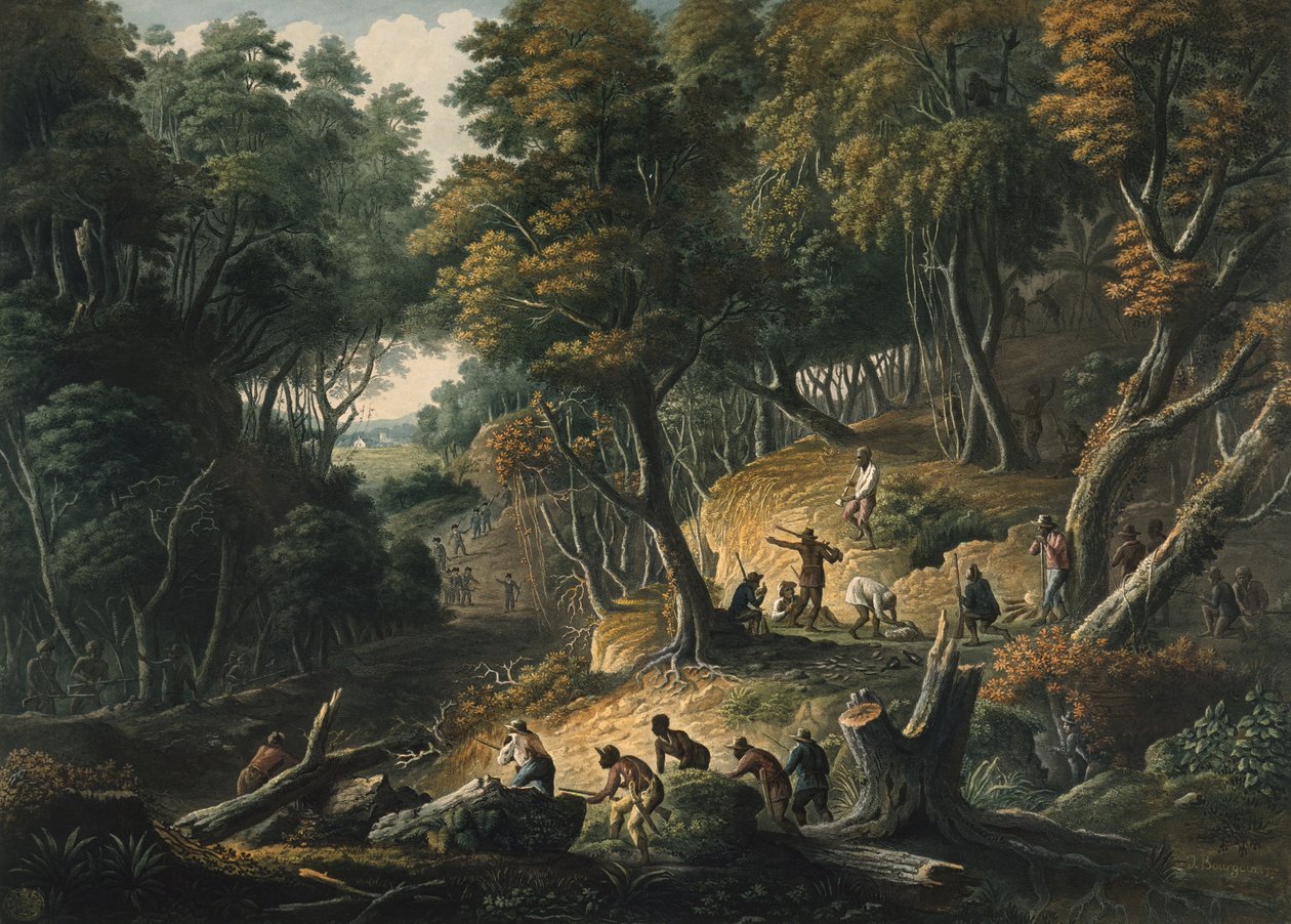 The Maroons i baghold på Dromily Estate i Parish of Trelawney, Jamaica, pub. 1801 af Francois Joseph Bourgoin