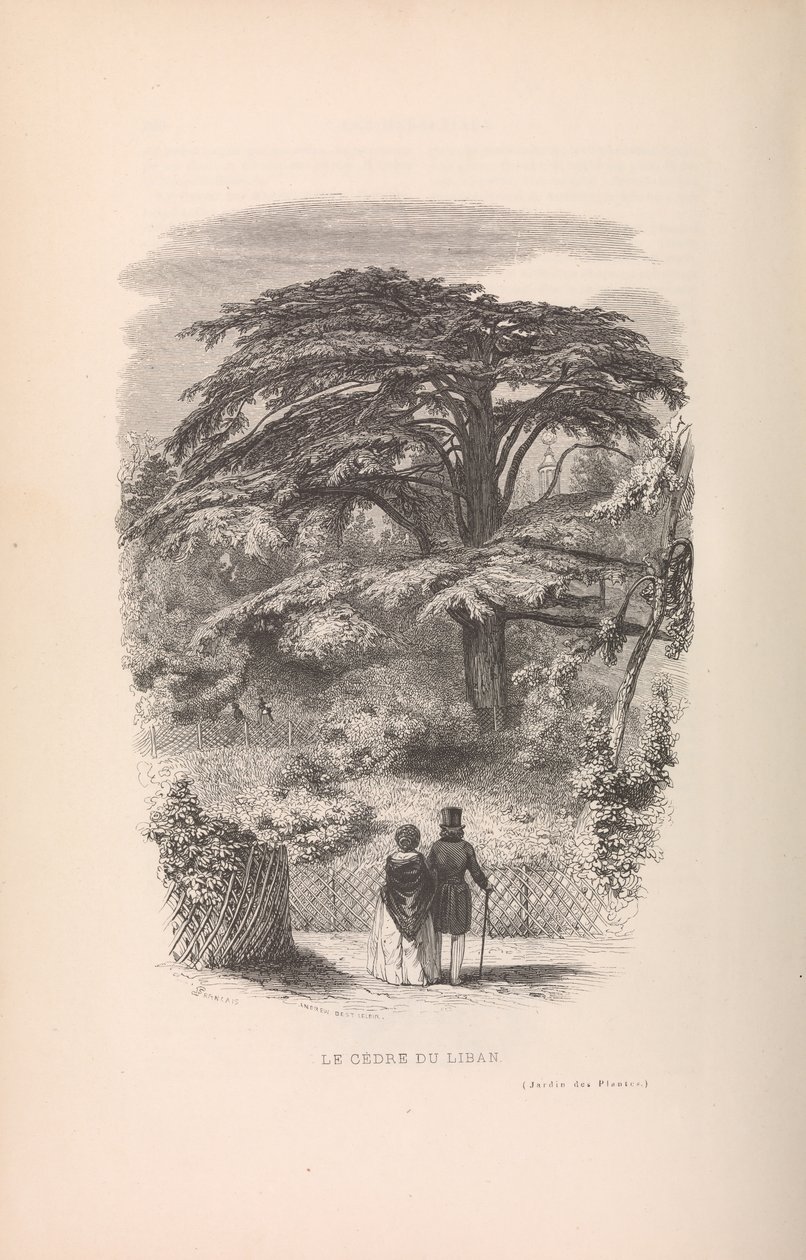 Den botaniske have, beskrivelser og manerer af pattedyr, 1842. af Francois Boitard