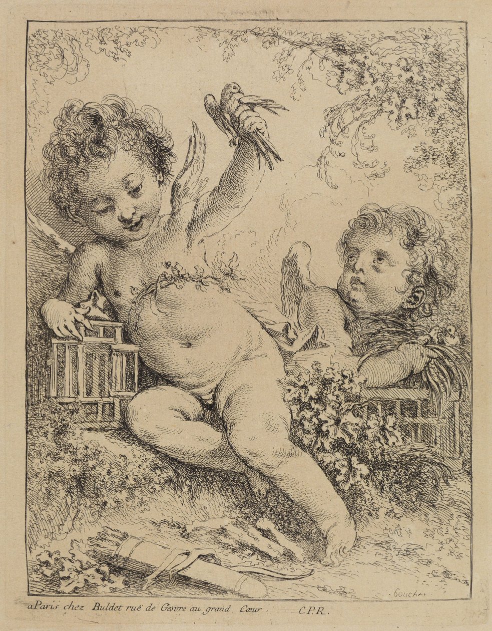 Den indespærrede turteldue af François Boucher