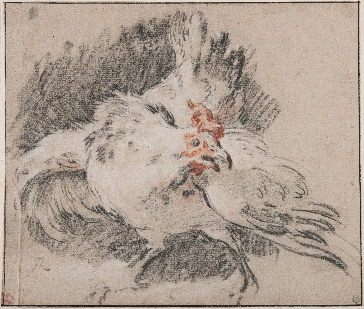 Studie af en hane af François Boucher