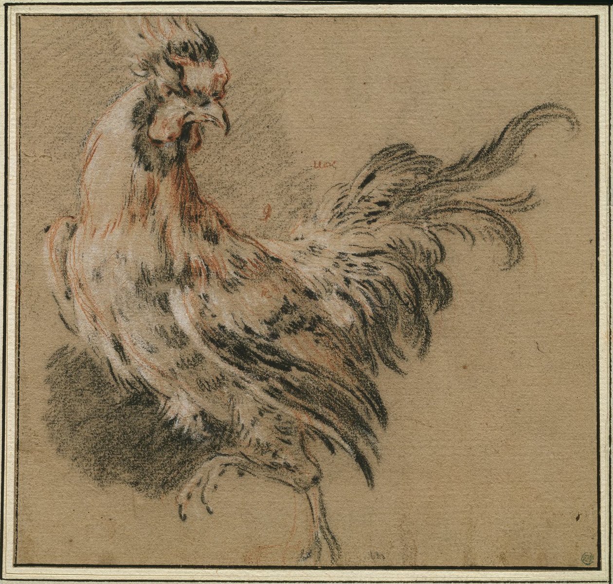 Studie af en hane af François Boucher