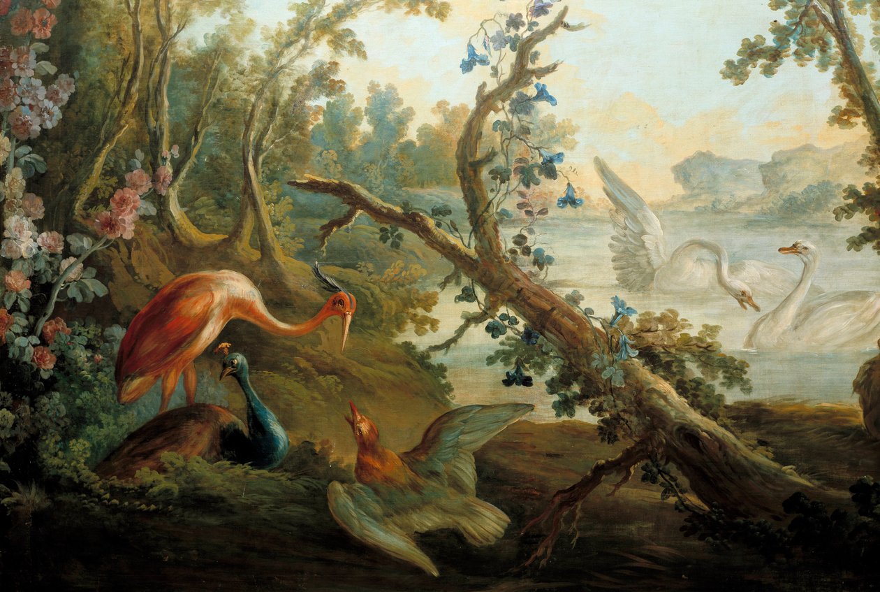 Svaner og påfugle Maleri af Francois Boucher (1703-1770) Paris fra det 18. århundrede, Musee Carnavalet af François Boucher